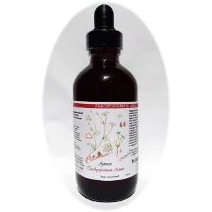  Ajwain (Trachyspermum Ammi) Liquid Extract 4 Oz (120ml 