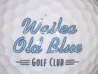 WAILEA MAUI COUNTY CLUB GOLF COURSE LOGO BALL BALLS
