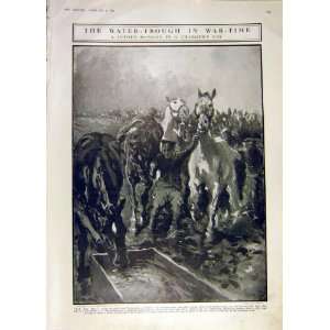 Water Trough Ww1 Charger Horse Cavalry War Print 1916