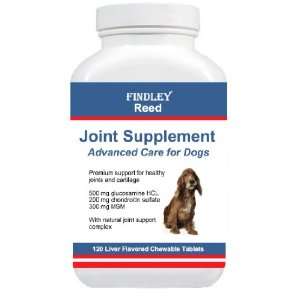  Findley Reed Joint Supplement for Dogs   Glucosamine 