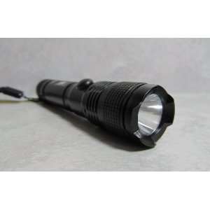  Outback Kelpie 1 Watt LED Flashlight with Battery Black 