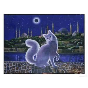  Angora Cat, Istanbul Giclee Poster Print by Isy Ochoa 