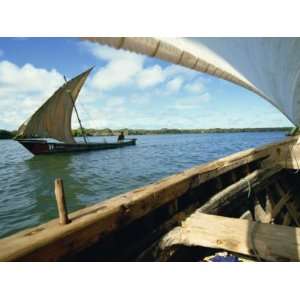  Dhows on River, Lamu, Kenya, East Africa, Africa Landscape 