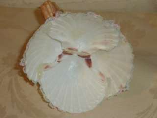 Seashell Doll Souvenir of Virginia Beach Shell OOAK  