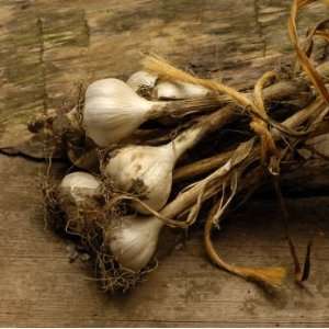  Garlic Capsules