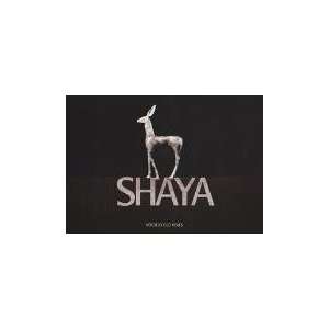  Shaya Verdejo 2010 Grocery & Gourmet Food