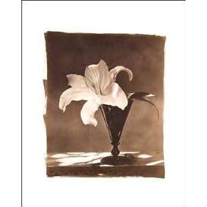  Luther Gerlach   Lilies Canvas