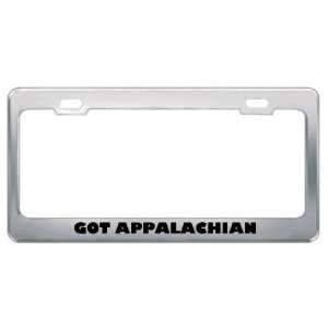 Got Appalachian Dulcimer? Music Musical Instrument Metal License Plate 