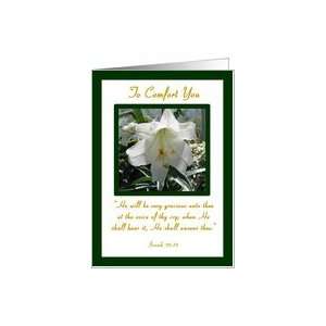  Sympathy Loss of Dad/Father Religious Beautiful White Lily 