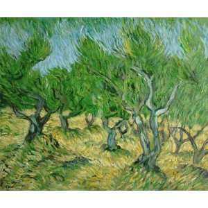  Olive Grove III