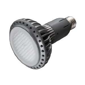  14W U/L Approved LED Daylight Wide Floodlight BR 30 Light 