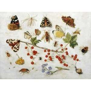  Butterflies, Moths and Other Insects Jan Van Kessel. 26 