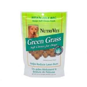  Lawn and Grass Protection   Green Grass Lawn and Yard 