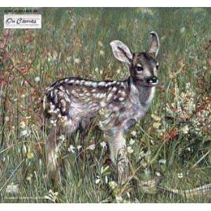  Charles Frace   Fresh Start   Fawn Artists Proof