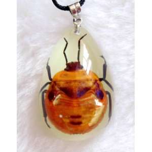  Real Bug Necklace With Real Flower Bug Lucite Pendant 