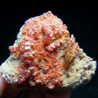 Red Vanadinite Crystal Cluster & Barite vamo9ixh091  