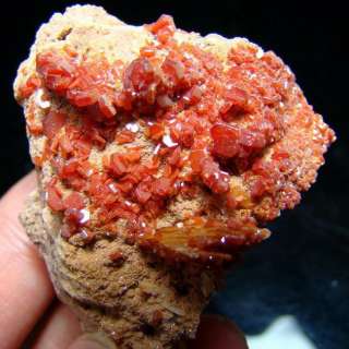 Red Vanadinite Crystal Cluster & Barite vamo9ixh091  