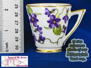 Mittereich Bavarian China Demi Cup & Saucer Germany  