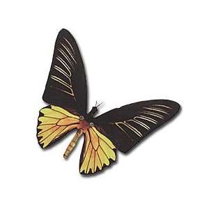  Yellow Birdwing Moving Butterfly