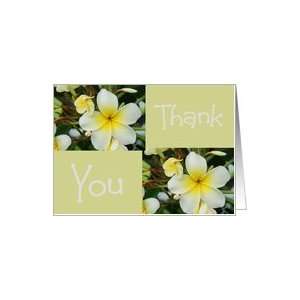  Thank You, Frangipani blooms, blank note cards Card 