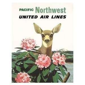   Travel Poster United Air Lines Pacific Northwest 12 inch by 18 inch