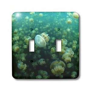 VWPics Oceans   Jellyfish lake in Palau   Light Switch Covers   double 