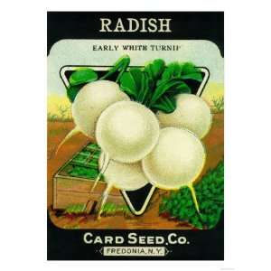  Radish Seed Packet Giclee Poster Print