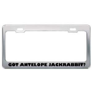 Got Antelope Jackrabbit? Animals Pets Metal License Plate Frame Holder 
