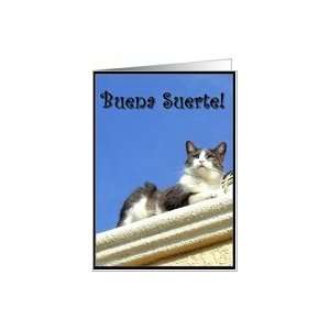 Buena Suerte Cat on a balcony Card