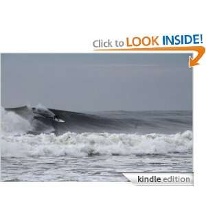 My First Big Wave Morton Rhue  Kindle Store