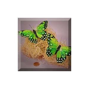  12ea   4 1/4 Apple Green Viceroy Butterfly Decor Arts 