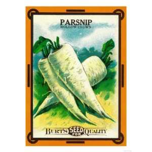  Parsnip Seed Packet Giclee Poster Print, 24x32