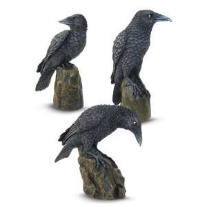  Raven Statues   Backward Glancing Raven