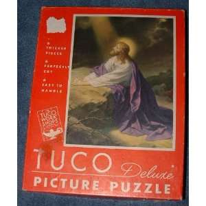  Jesus in Gethsemane Tuco Deluxe Picture Puzzle 16 X 20 