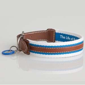  Rugby Dog Collar 17 Inch with Leather Detailing Pet 