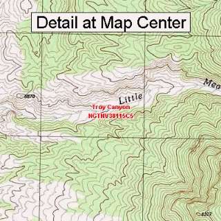  USGS Topographic Quadrangle Map   Troy Canyon, Nevada 