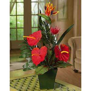  Birds Of Paradise Tropical Floral Houseplant Decor By 