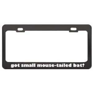 Got Small Mouse Tailed Bat? Animals Pets Black Metal License Plate 
