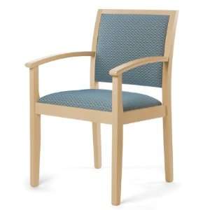   SN410, Healthcare Medical Guest Lounge Arm Chair