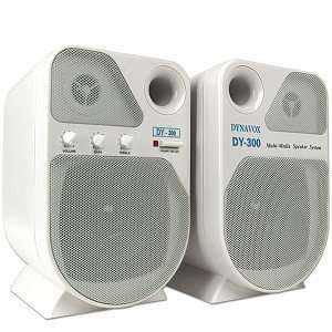  2 Piece Amplified Multimedia Speaker System Electronics