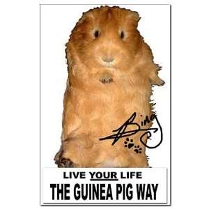  Bings Autographed Guinea Mini Poster Print by  