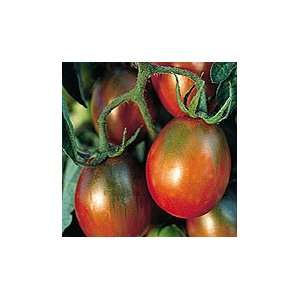 Tomato, Black Plum Paste