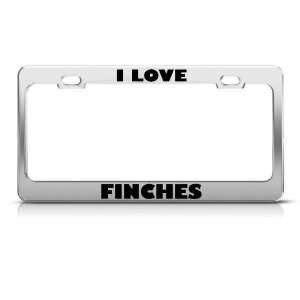 Love Finches Finch Bird Animal license plate frame Stainless Metal 