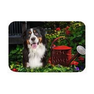  Bernese Mountain Dog Tempered Cutting Board 25 Cent Kisses 