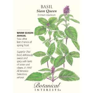  Basil Thai Siam Queen Heirloom Seeds 150 Seeds
