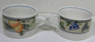 MIKASA GARDEN HARVEST Intaglio Stoneware 2 Coffee Tea Cups  