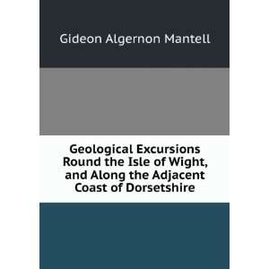   the Adjacent Coast of Dorsetshire Gideon Algernon Mantell Books