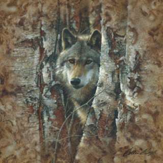 Woodland Spirit Wolf Collin Bogle 18x18 Framed or Unframed Picture 