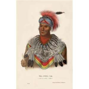   Prince, a Musquakee Chief McKenney Hall Indian Print