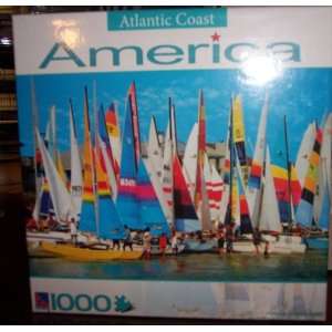   Virginia Beach Sailboats 1000 Piece Jigsaw Puzzle Toys & Games